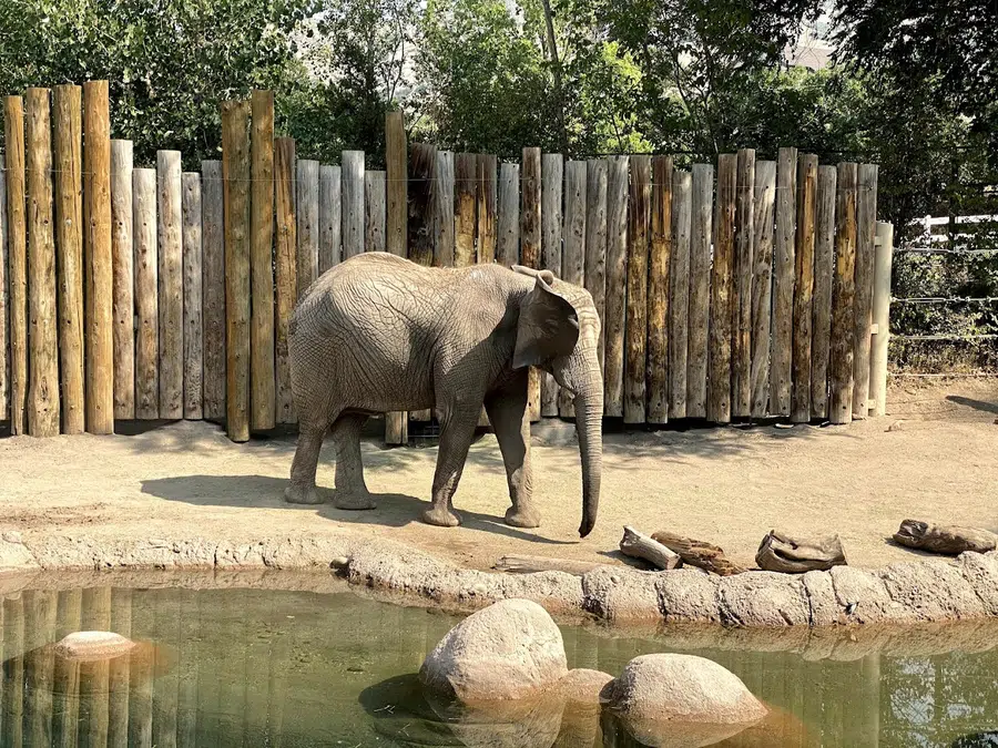 Utah's Hogle Zoo